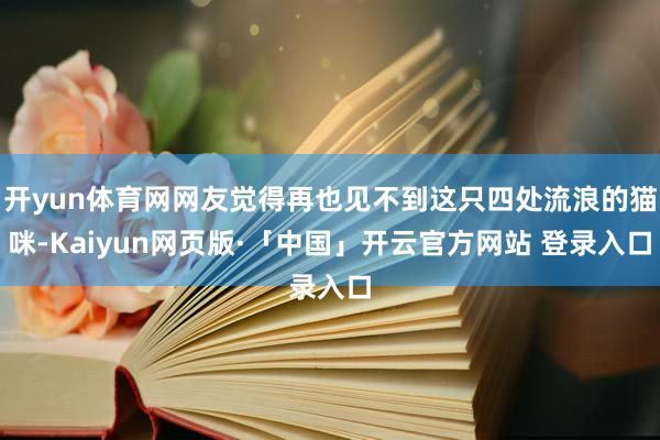 开yun体育网网友觉得再也见不到这只四处流浪的猫咪-Kaiyun网页版·「中国」开云官方网站 登录入口