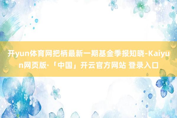 开yun体育网把柄最新一期基金季报知晓-Kaiyun网页版·「中国」开云官方网站 登录入口